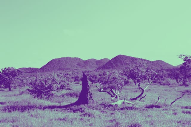 Ant hill on a grassy landscape